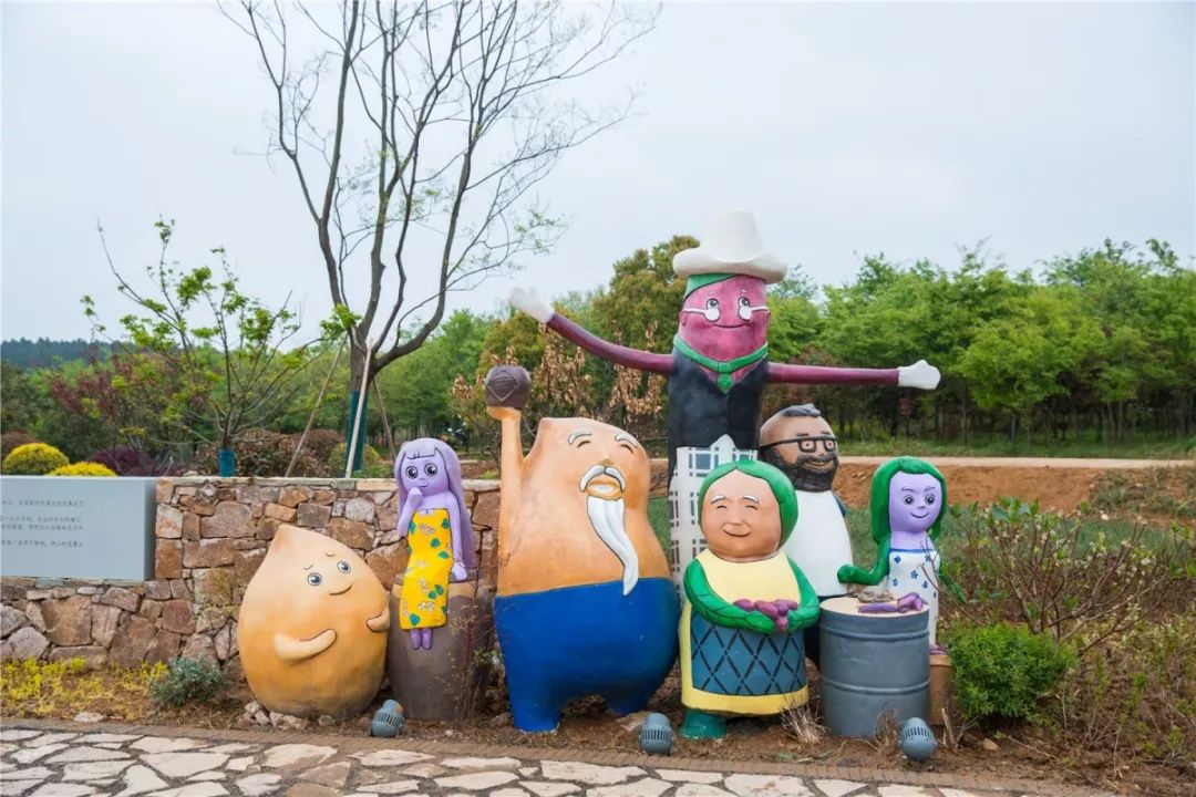 溧阳知青农场网红打卡地,溧阳网红打卡地茅山