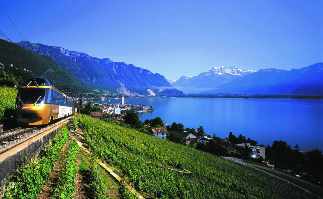 双11抢飞机票,双11送车