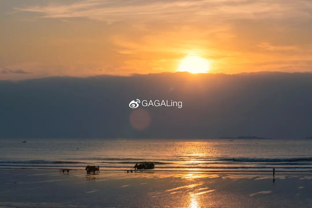 大V推荐|国内少有的黄金沙滩海岸，漳州六鳌游玩必备攻略，拍照小贴士！