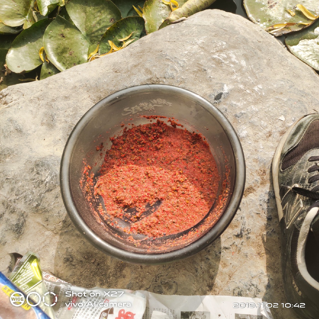 坚持就是胜利,收竿鱼喜获漂亮大板一尾