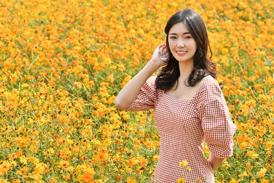 满城尽带黄金甲！在佛山，就能感受秋日童话的浪漫