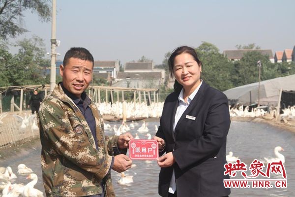 养鹅创业带头人,创业养鹅发家致富