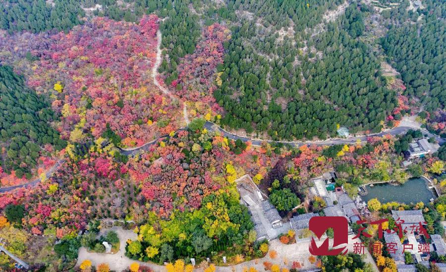 2024年济南公园通游年票发售,济南市公园通游年票免费吗