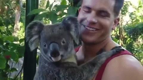 盘点消防员和小动物爆笑名场面,盘点消防员与小动物的搞笑瞬间