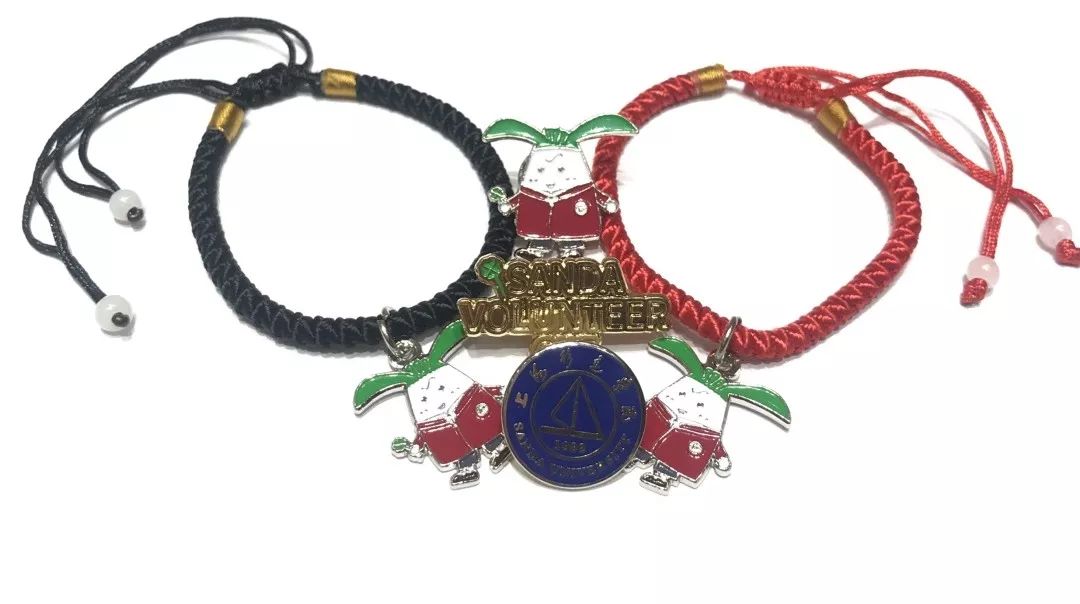 进博会小叶子徽章,进博会小叶子完整视频