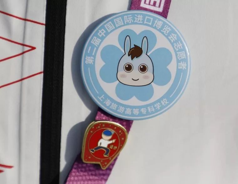 进博会小叶子徽章,进博会小叶子完整视频