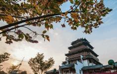 特价机票旅游全国,5月从沈阳出发的特价机票