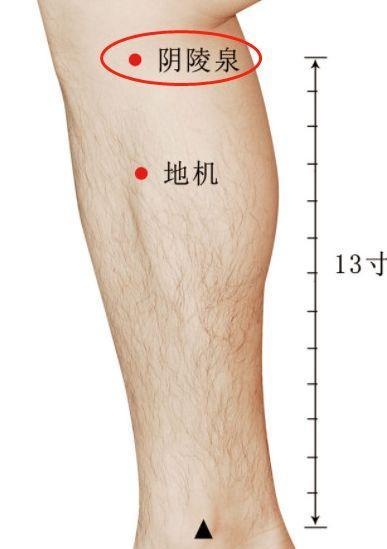 小腿上有湿毒是什么样的表现,小腿是一身阴毒的大本营