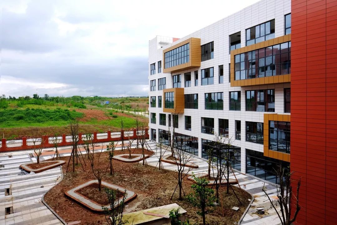 成都新川板块前景,成都新川板块会凉吗