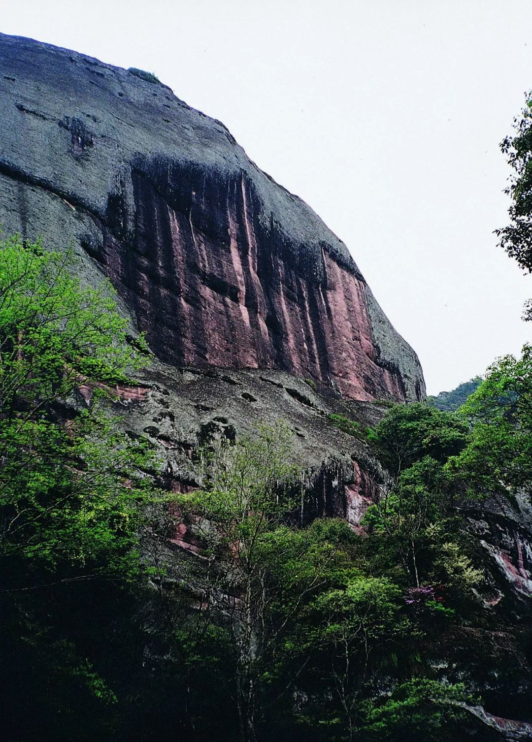 这条“藏在深闺人未识”的溪流,让你远离凡尘,沉醉于此