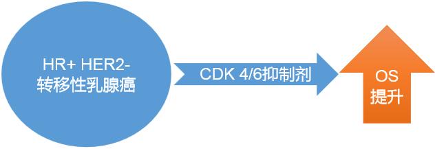 已转移的乳腺癌的生存期,乳腺癌转移生存期多长时间