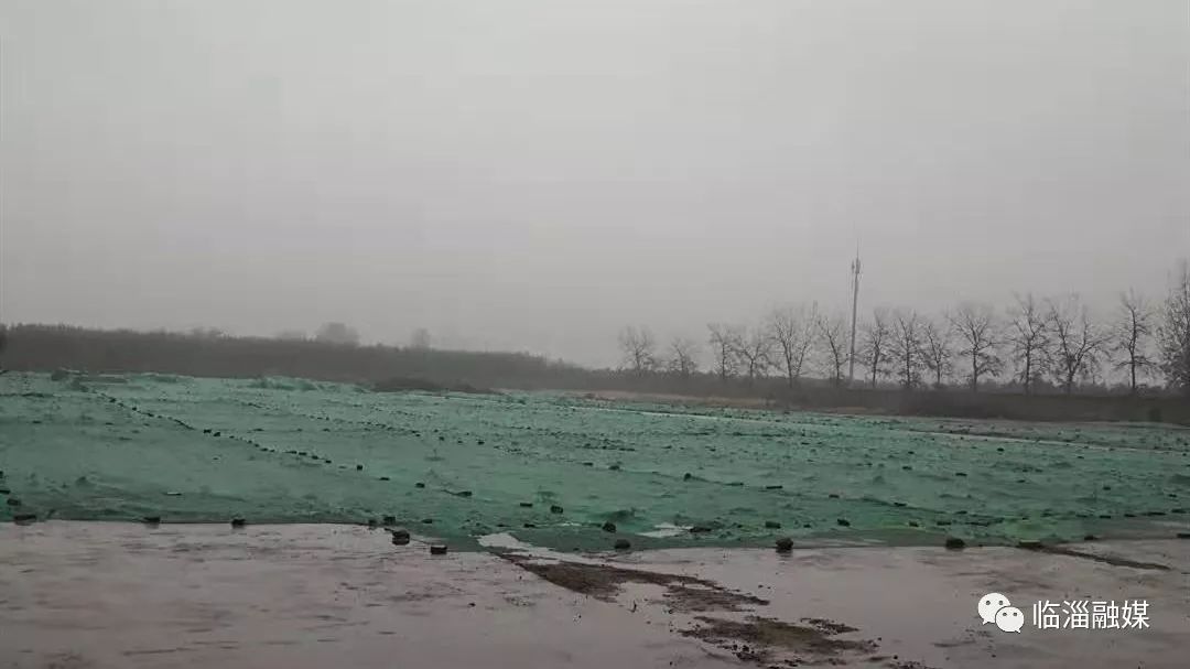 临淄经济发展现场,临淄经济社会发展