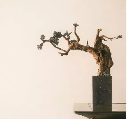 汉诗英译|杨克、池凌云、天界、刘伟雄、闫画晴