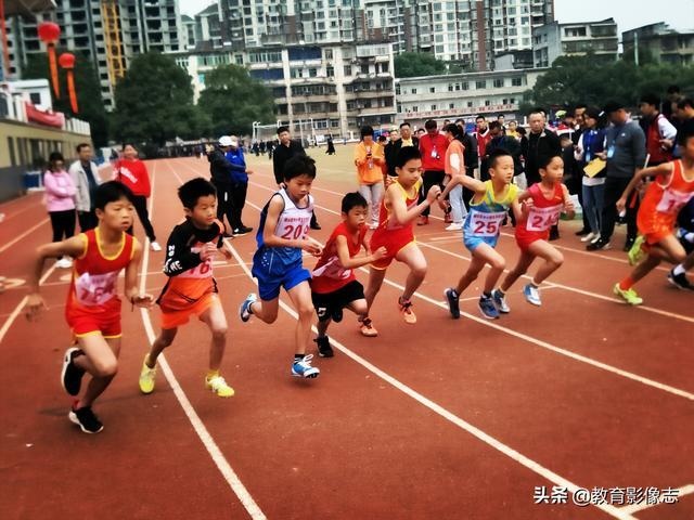 益阳梓山湖学校校运会,梓山湖学校校运会