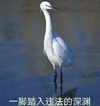 lv和迪奥的区别,lv爱马仕真假