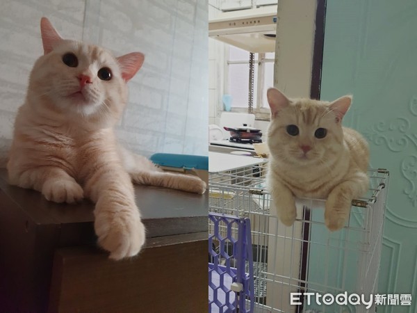 5条海参陷毒窟！握住糖果袋鼠跳