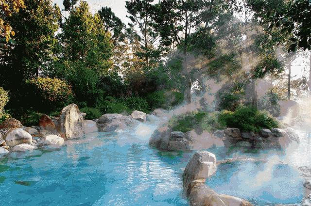 送温泉票!为什么那么多人想泡温泉?!厦门的这几家温泉胜地给你答案~