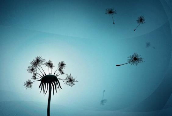 中国最有意思的十首诗,一个字标题的10首诗依然流传千古