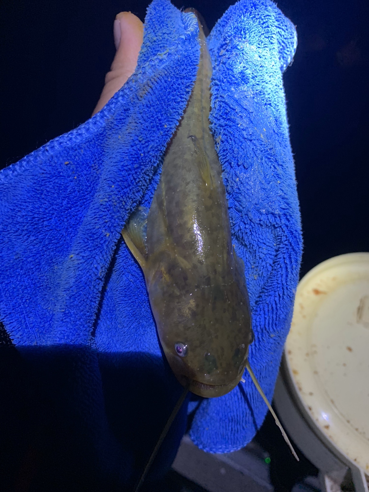 禁不住诱惑去开光，马马虎虎算成功