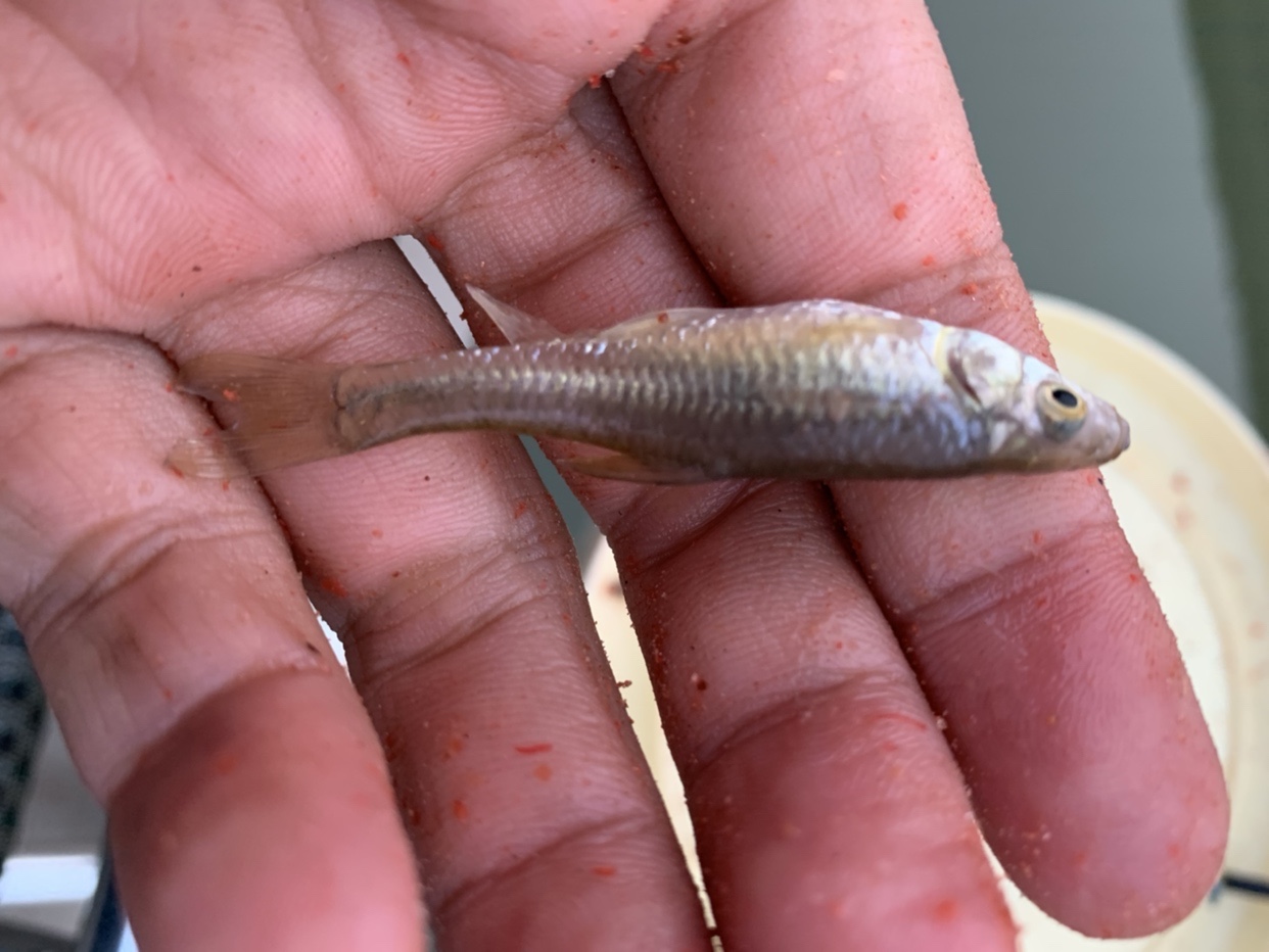 禁不住诱惑去开光，马马虎虎算成功