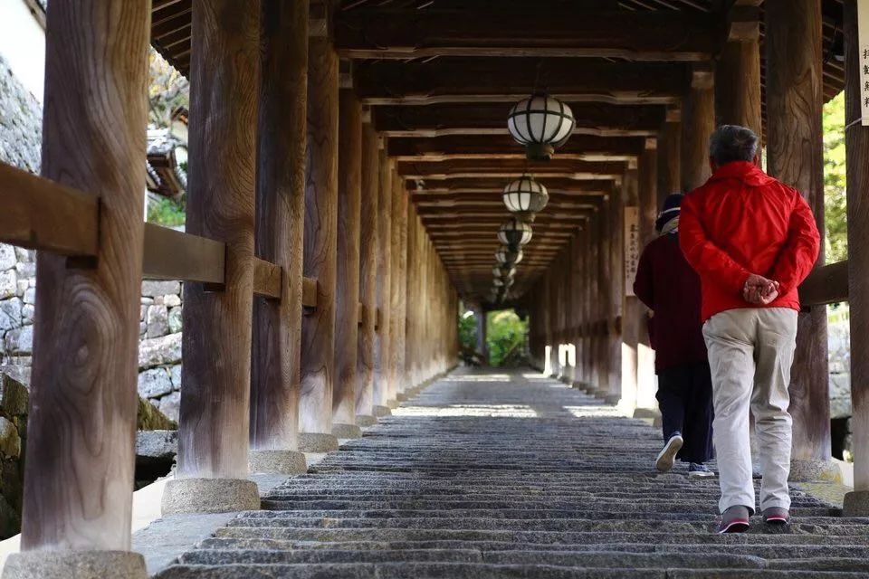 省钱又实用的日本“红叶狩”攻略错过又要等一年|用耳朵旅行的财经主播Nina