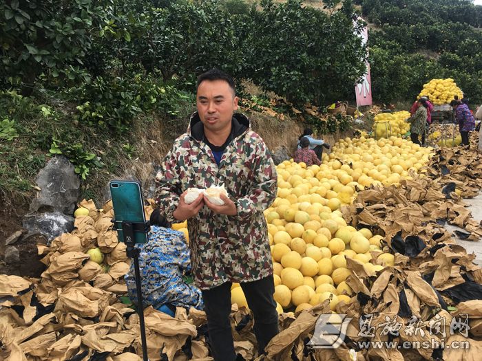 以柚子为名,以柚为名珐琅锅