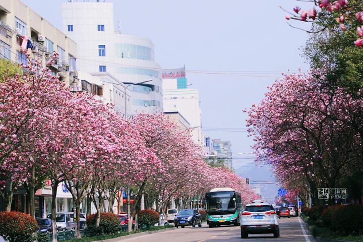 幸福四重奏视频,台州连续几年被评为最幸福城市
