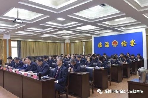 我是一只猫直播,我是一只猫现场