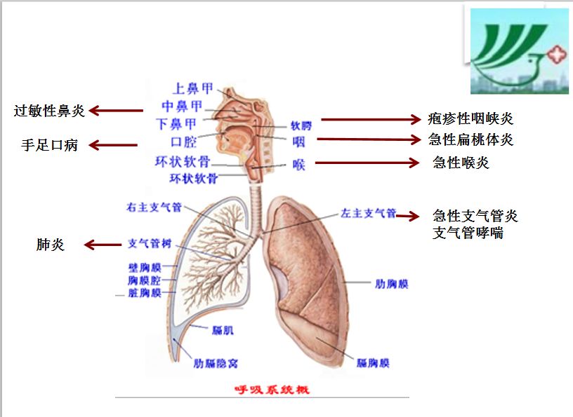悦暖臻心融享健康|融创太原健康大讲堂首场讲座特邀儿科专家暖心开讲