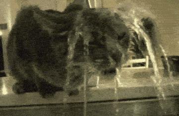 敷面膜正确使用方法,护肤你的面膜敷对了吗