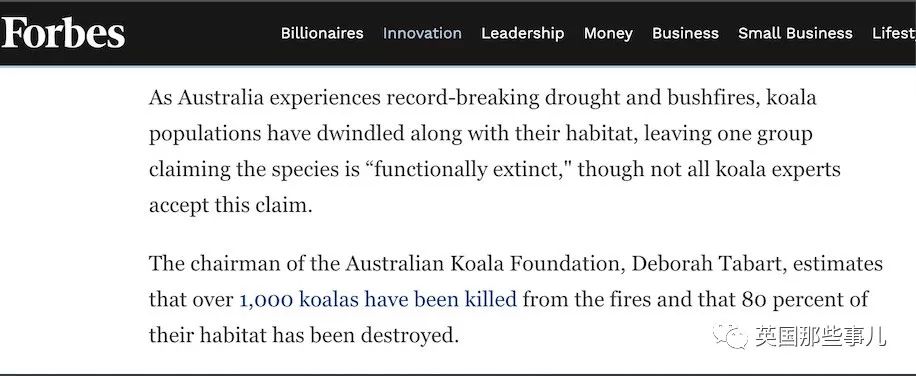 考拉面临功能性灭绝英语答案,导致考拉功能性灭绝的主要原因是