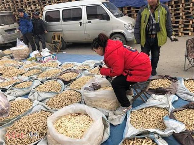 长白山土特产买卖有了直播“粉丝团”