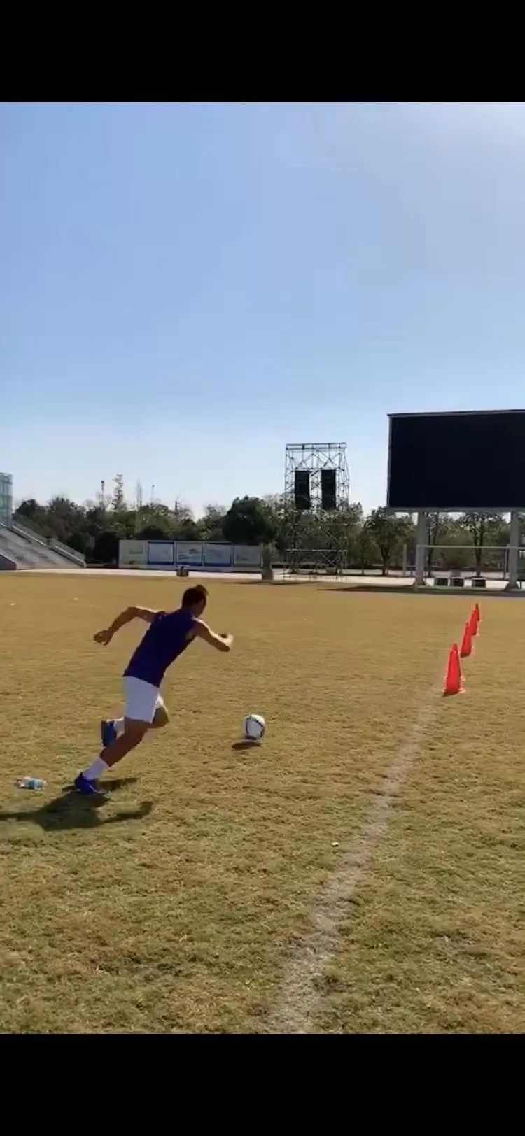 浙师大这位足球教练拿下全国大奖,他说,读好书踢好足球上好大学不是梦