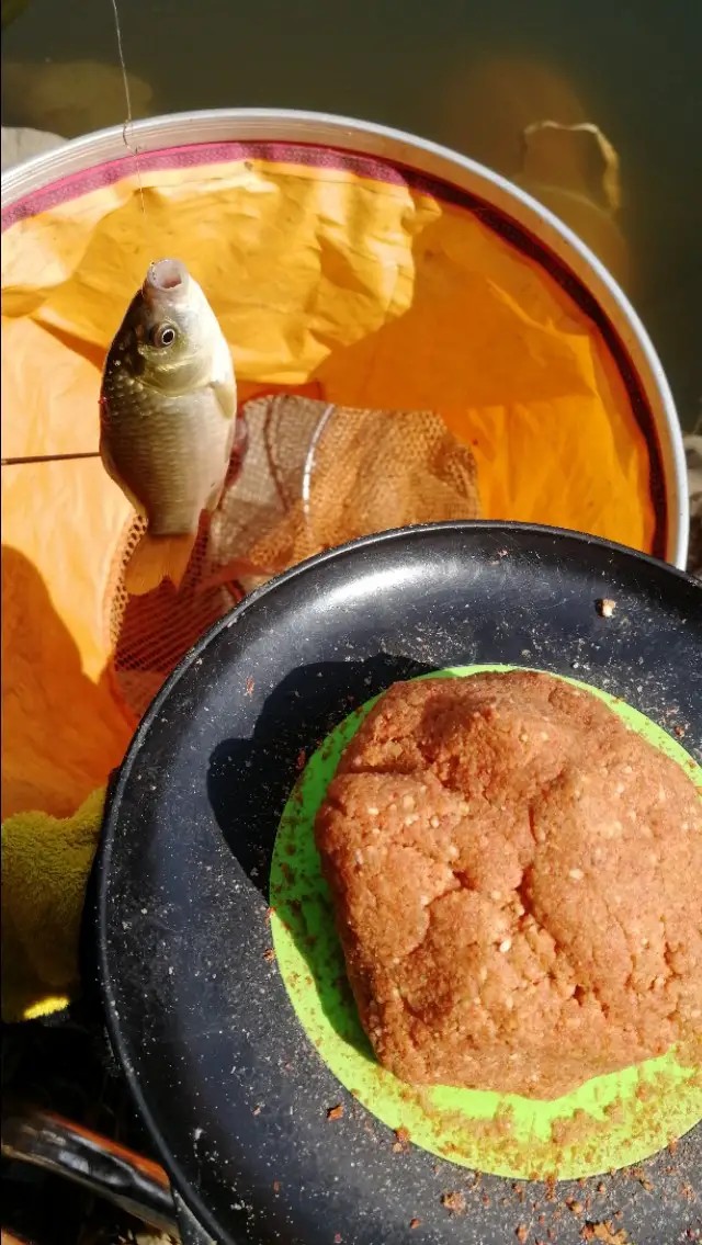 钓鲫鱼鱼竿竿稍是软还是硬好,如何选鲫鱼鱼竿最好视频