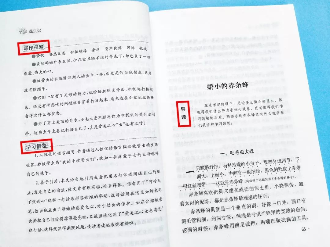成长必读法布尔昆虫记,法布尔昆虫记书分享