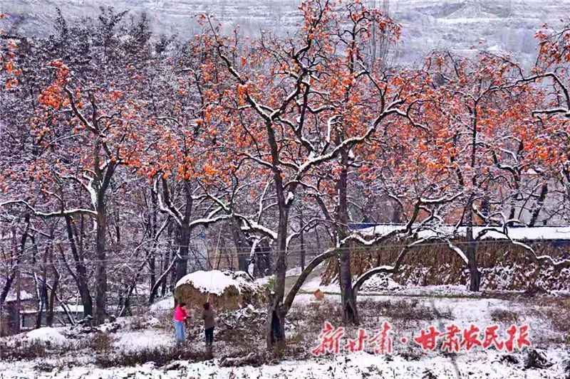 天水秦安大地,天水雪景美如画