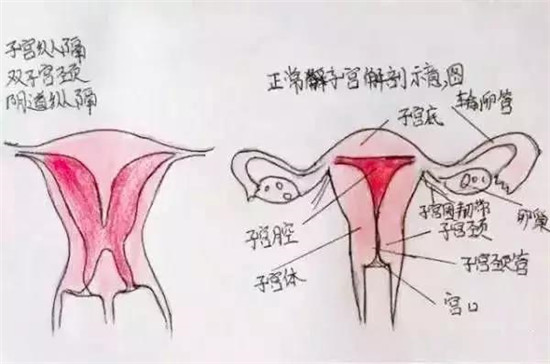 雅安恒博医院看妇科好不好,雅安恒博医院会摘除子宫吗
