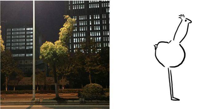 这张图非常火，很多网友留言说：这个星星就不知道把板凳往前挪一挪吗？