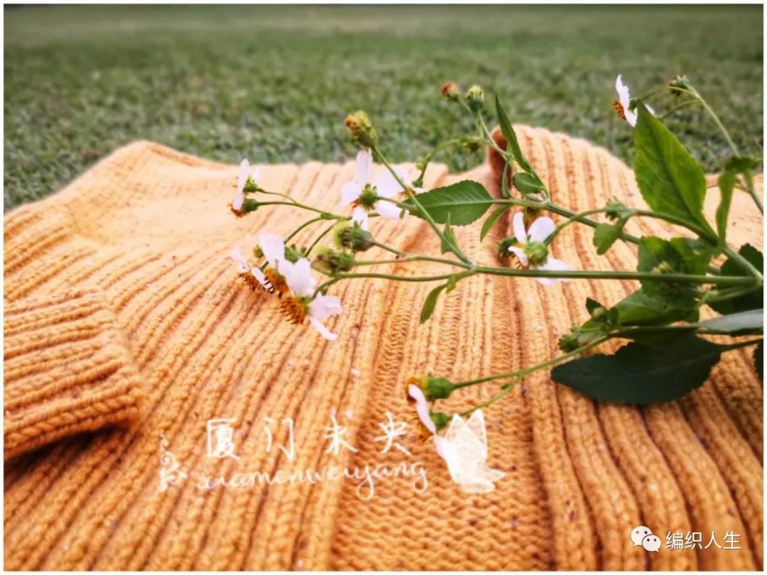 蕉香：云点粗花呢女士棒针翻领开衫外套毛衣（有翻译教程）