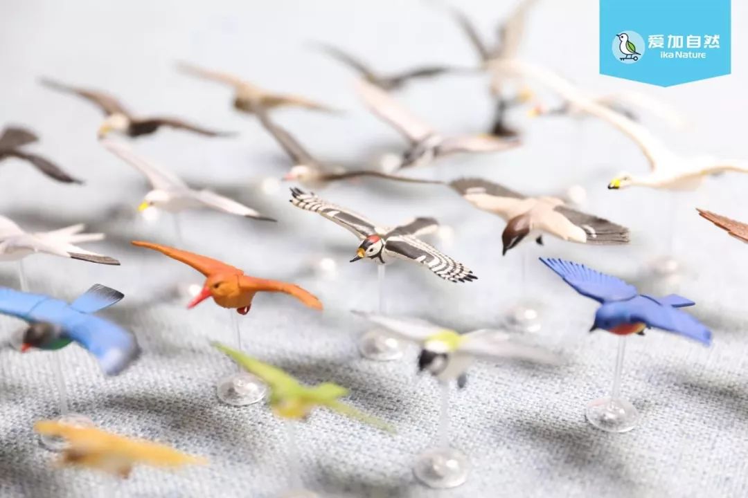 劲草嘉年华最新视频,2023年劲草嘉年华