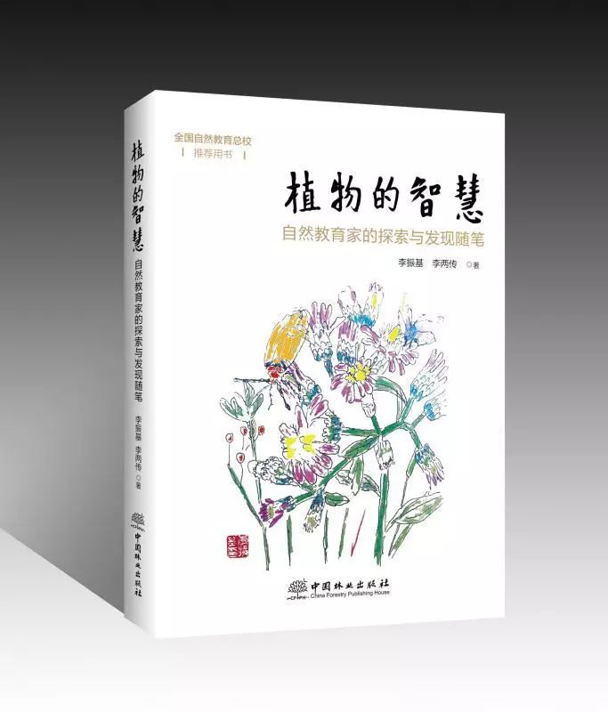 劲草嘉年华最新视频,2023年劲草嘉年华