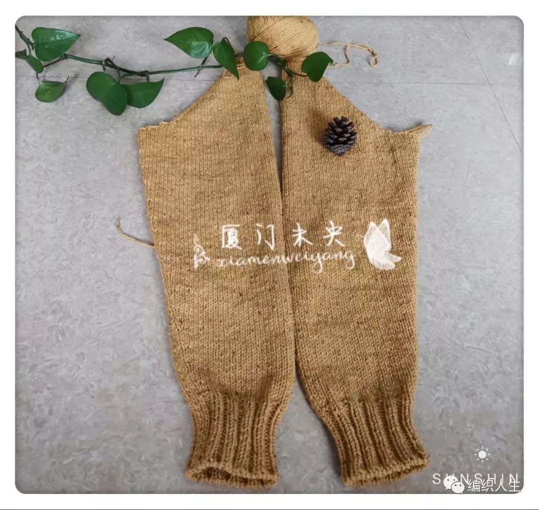 蕉香：云点粗花呢女士棒针翻领开衫外套毛衣（有翻译教程）