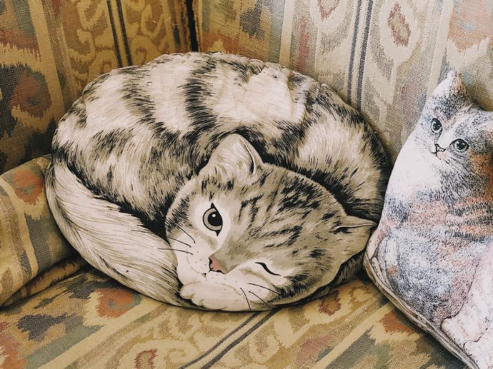 各种猫咪的博物馆,猫咪博物馆都有哪些猫