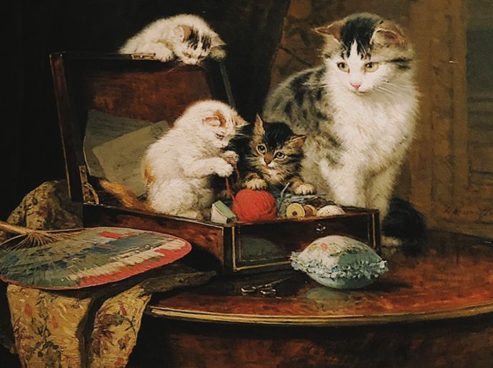 各种猫咪的博物馆,猫咪博物馆都有哪些猫