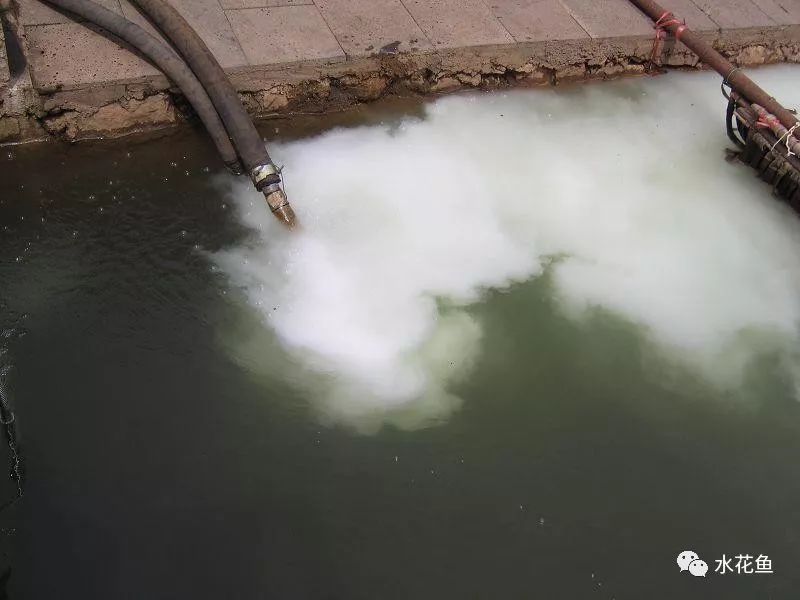 水产养殖净化水质标准最新,水产养殖净化水的方法