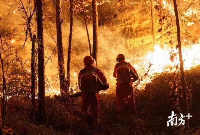坚守岗位做最美逆行者,守护最美的逆行者