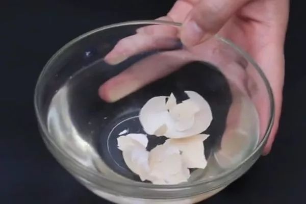 鸡蛋壳用火烧有什么用,鸡蛋壳用火烧过以后可以当肥料吗