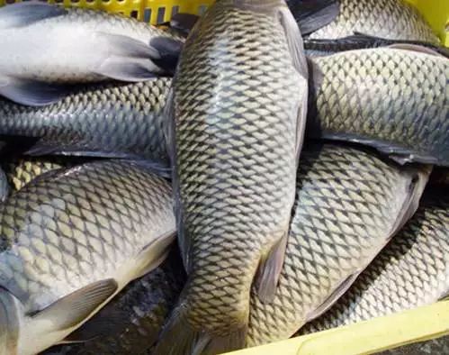 沃尔玛商品被查,沃尔玛食品被曝光