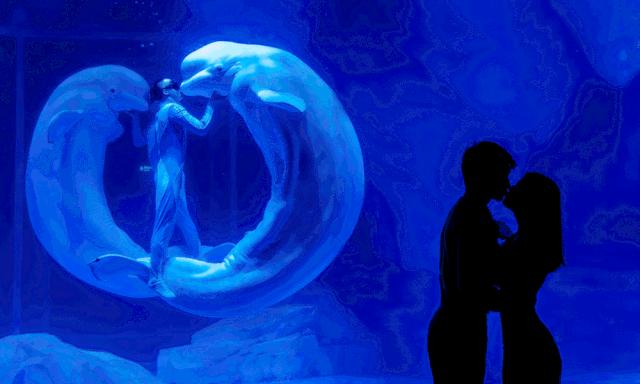 利民街沪上,上海景点年票怎么买