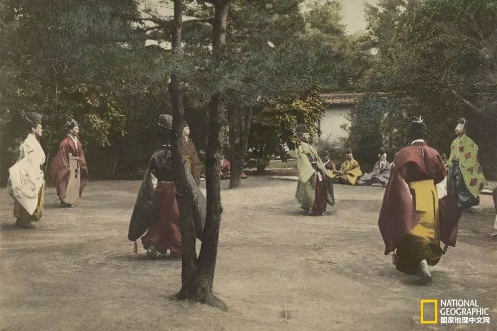 球进了,球进了吗